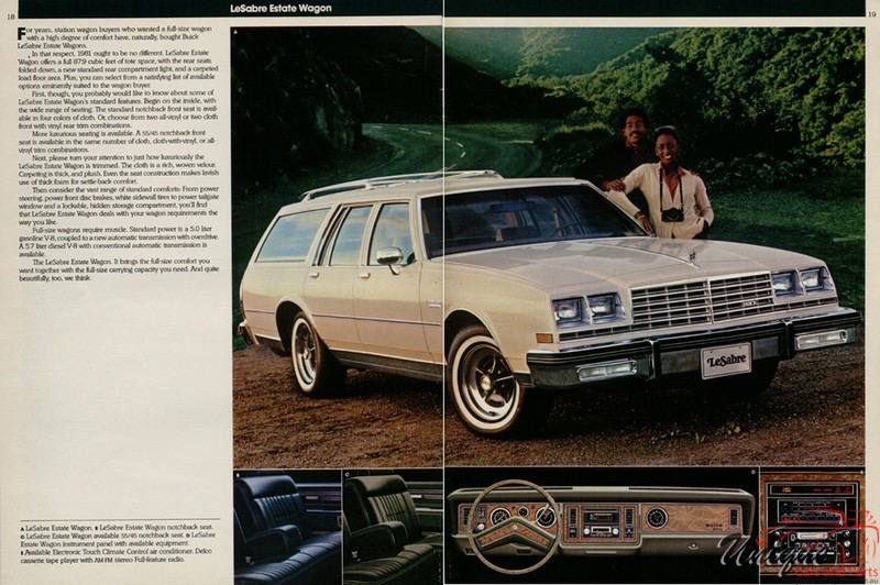 1981 Buick Brochure 2 Page 12